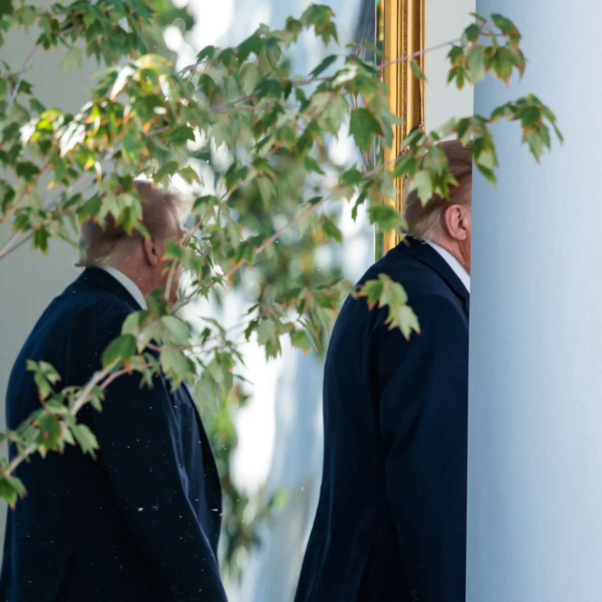 Trump Rejects Rule of Law Pretense in Public Statements