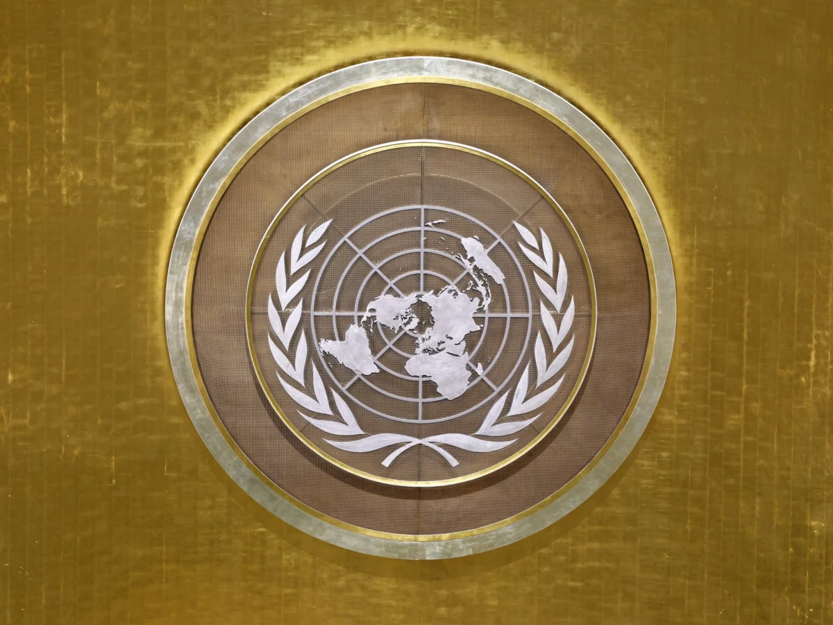 UN Council Elects 15 Members in Uncontested Vote