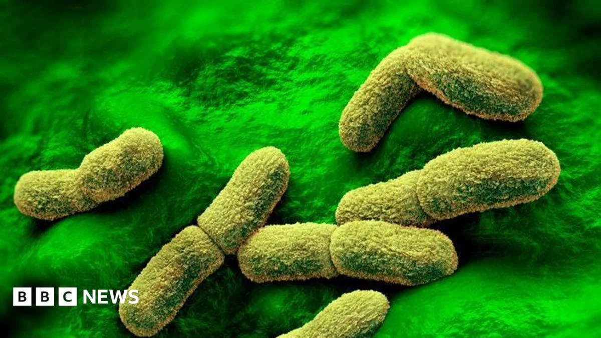 US Watching Closely After Plague Researcher Dies in Russia