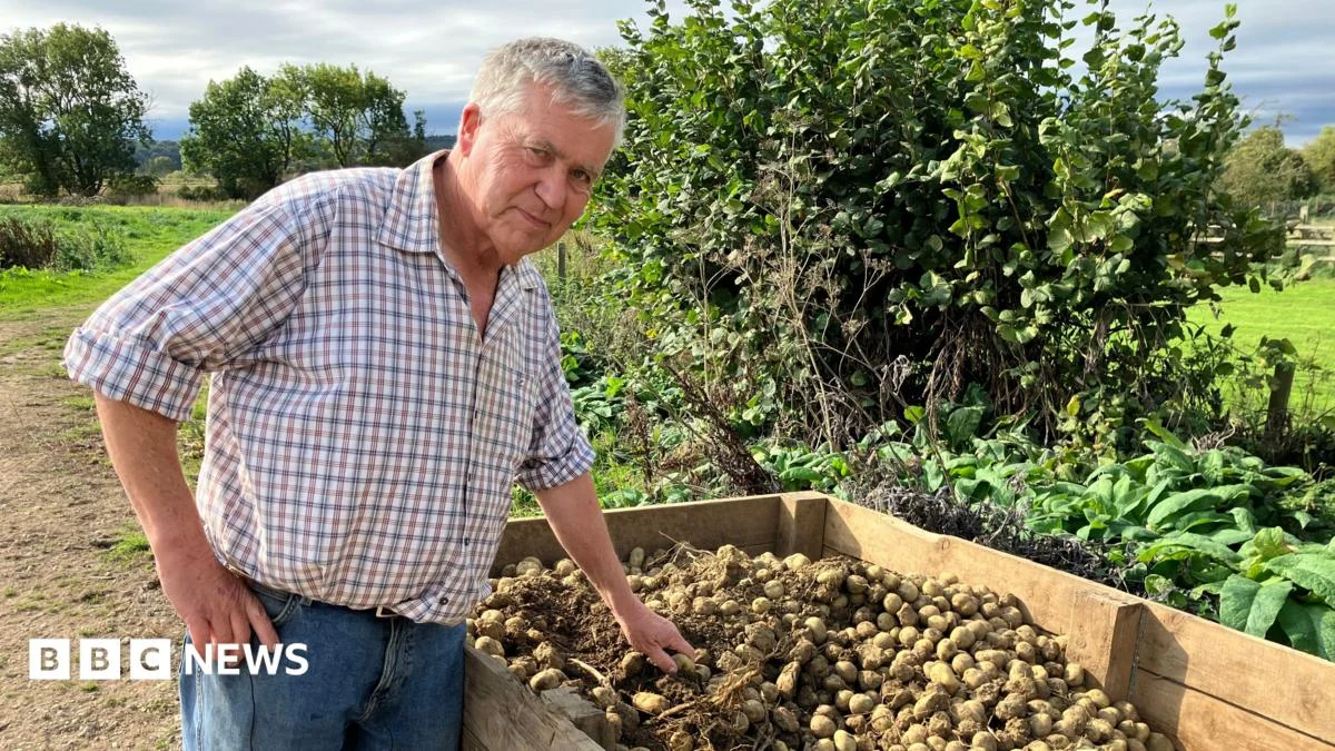 Heat Waves Shrink British Potatoes as Farmers Harvest Early