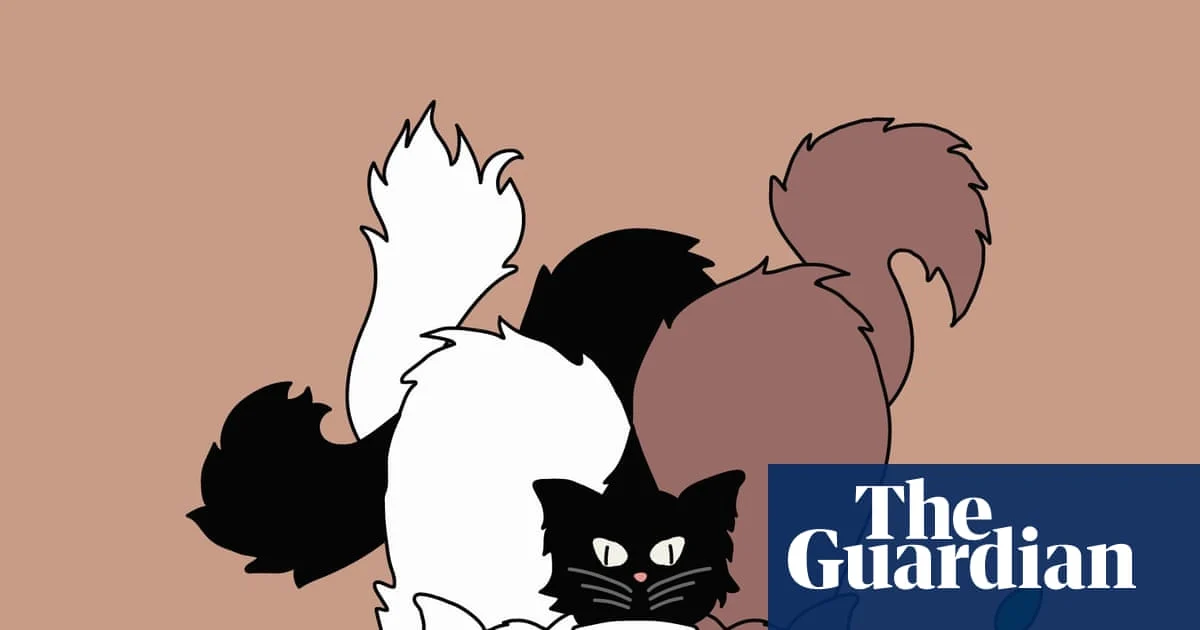 Cat Water Bowl on Kitchen Counter Sparks Hygiene Dispute