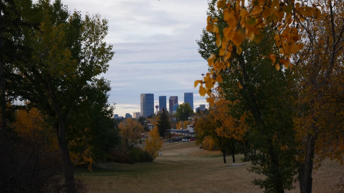 Alberta separatist movement expected to continue after vote loss