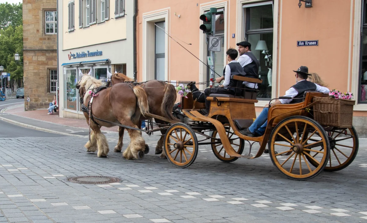 Central Park carriage drivers fear for livelihoods amid horse ban