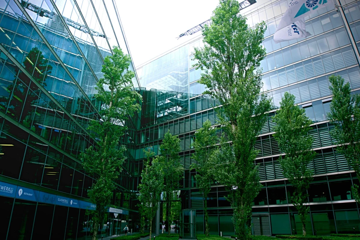 TCS Sees No Workforce Impact From US Green Card Suspension