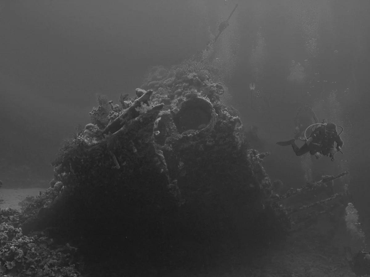 Archaeologists Claim 4,700-Year-Old Shipwreck Find Off Turkey Coast
